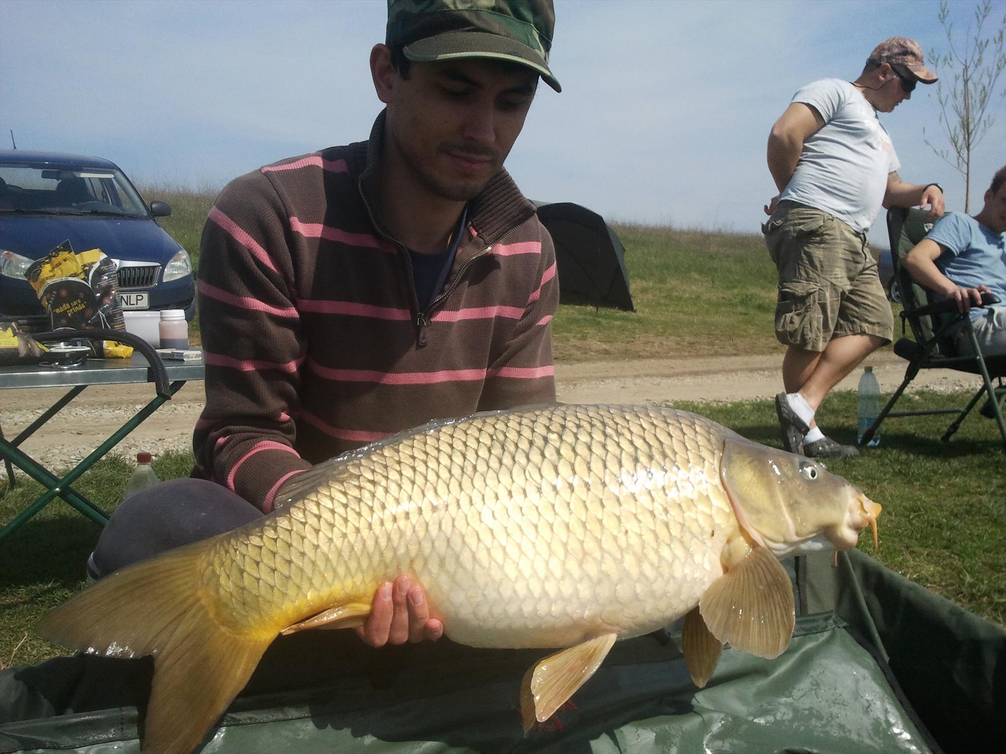 Best off - 2013-04-13-114824.jpg